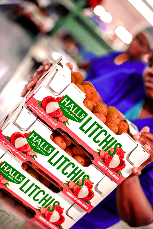 Halls producteur litchi et avocat mur à point