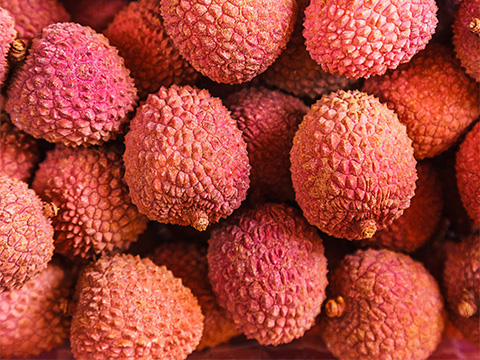 litchi - autres fruits exotiques halls